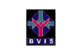 BVIS